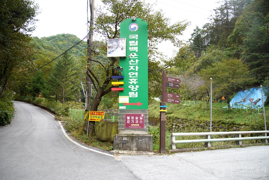 국립 백운산자연휴양림(원주) 여행 추천 - 메고지고 국립 백운산자연휴양림(원주) 여행 추천 - 메고지고