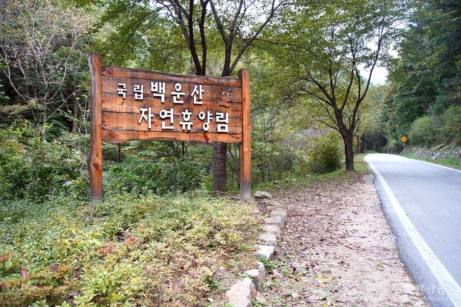 국립 백운산자연휴양림(원주) 여행 추천 - 메고지고 국립 백운산자연휴양림(원주) 여행 추천 - 메고지고