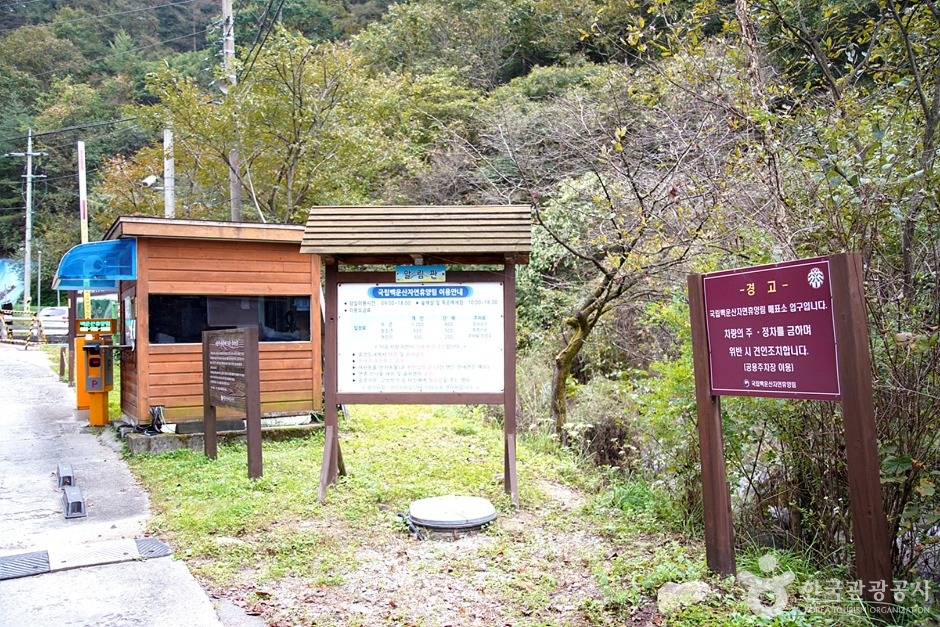 국립 백운산자연휴양림(원주) 여행 추천 - 메고지고 국립 백운산자연휴양림(원주) 여행 추천 - 메고지고
