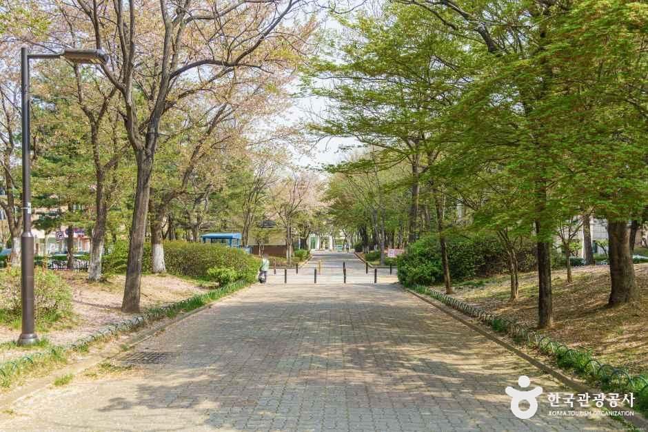 밤가시공원 여행 추천 - 메고지고