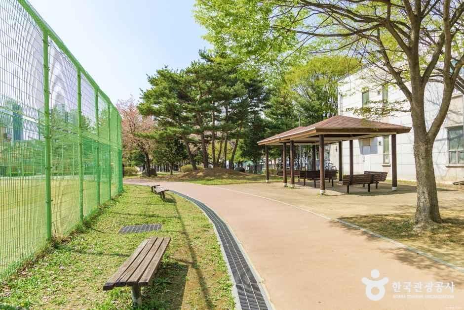 대화동레포츠공원 여행 추천 - 메고지고 대화동레포츠공원 여행 추천 - 메고지고