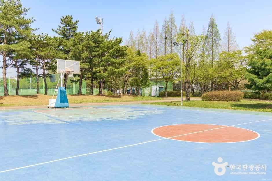 대화동레포츠공원 여행 추천 - 메고지고 대화동레포츠공원 여행 추천 - 메고지고