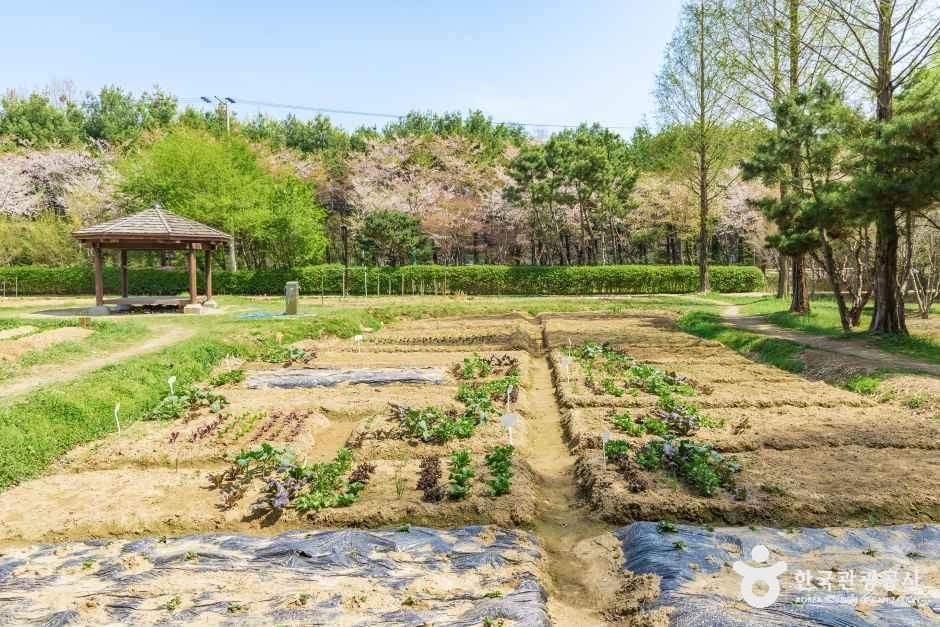 대화농업체험공원 여행 추천 - 메고지고 대화농업체험공원 여행 추천 - 메고지고