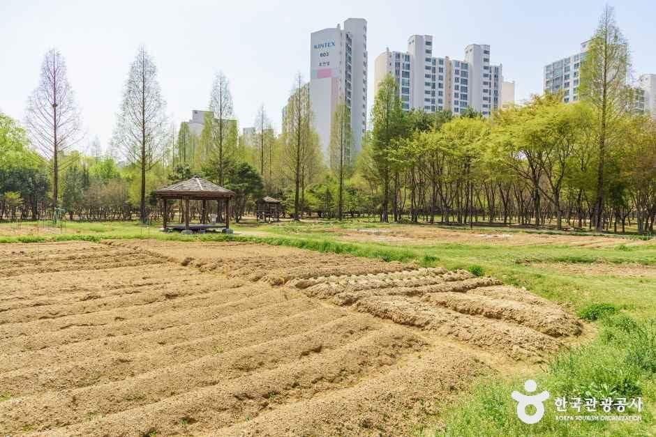 대화농업체험공원 여행 추천 - 메고지고 대화농업체험공원 여행 추천 - 메고지고