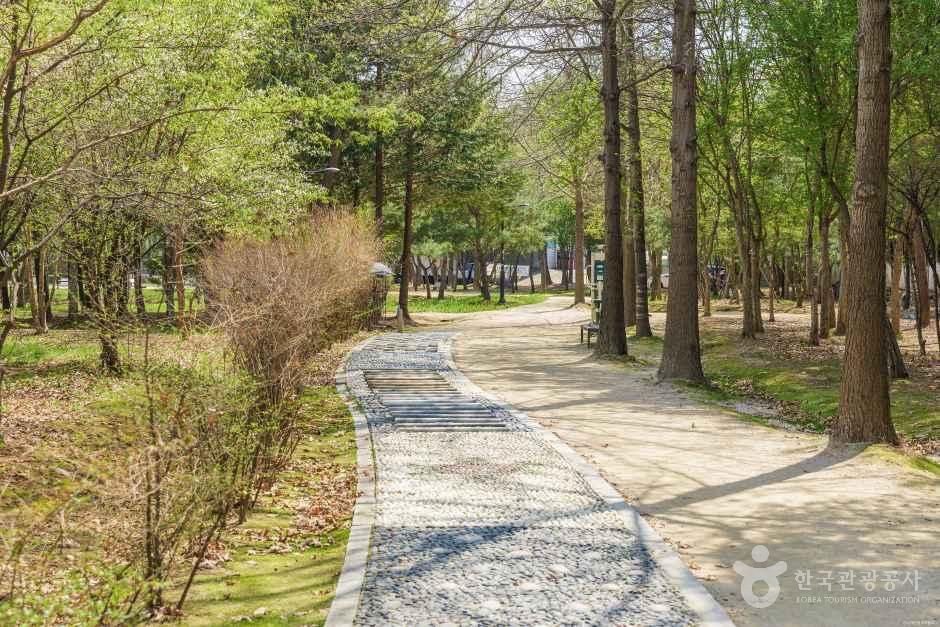 대화농업체험공원 여행 추천 - 메고지고 대화농업체험공원 여행 추천 - 메고지고