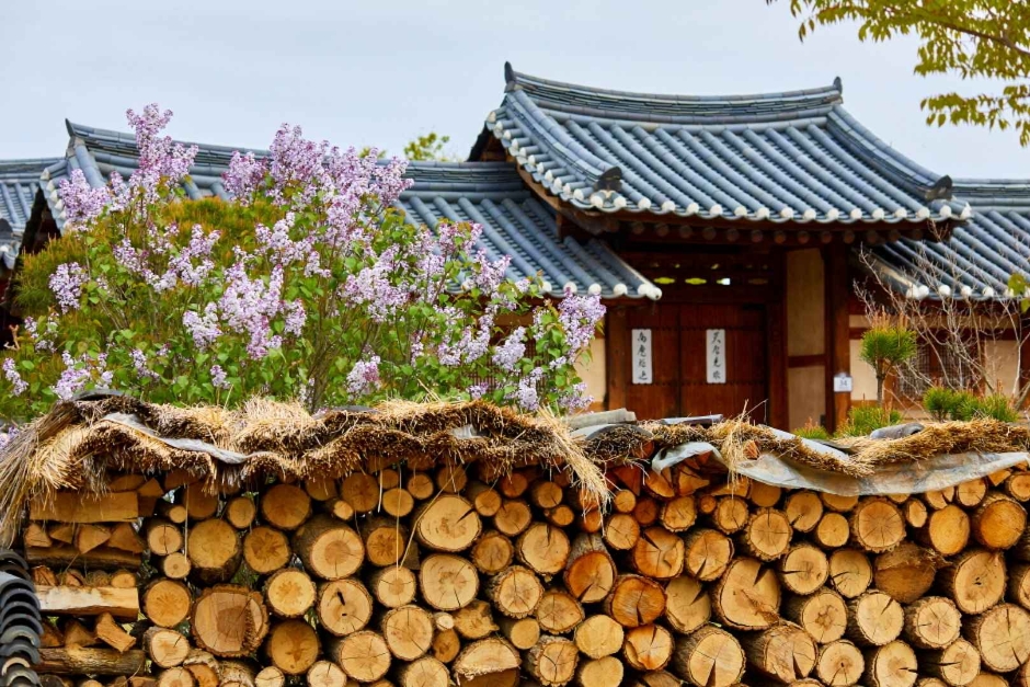 안동 하회마을 [유네스코 세계유산] 여행 추천 - 메고지고