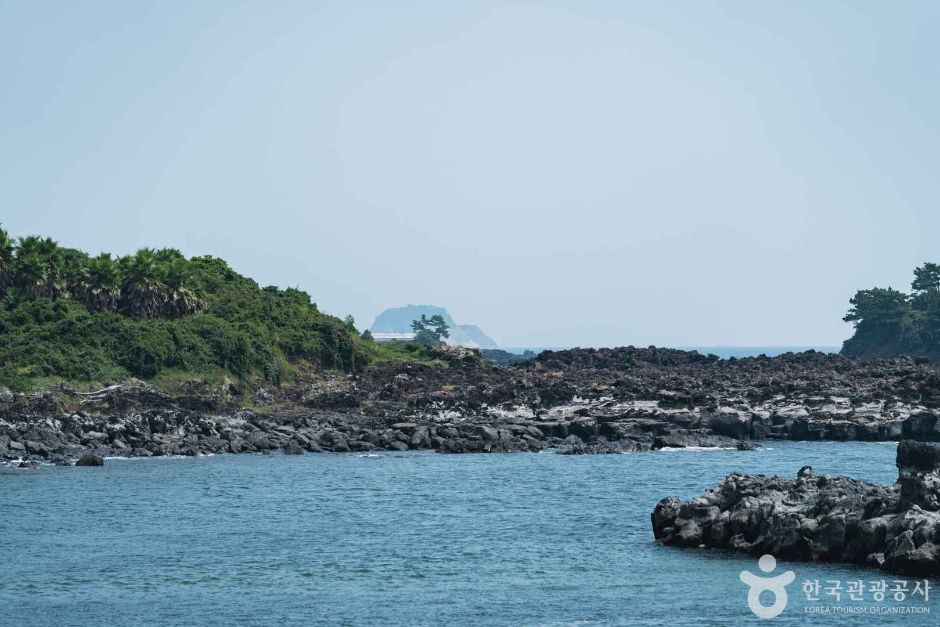 강정천 여행 추천 - 메고지고 강정천 여행 추천 - 메고지고