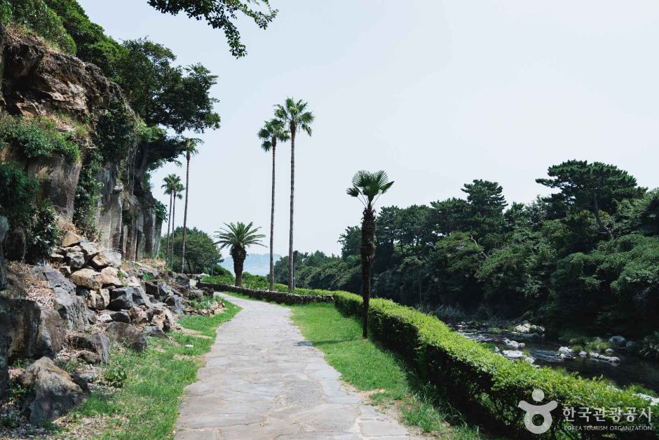 강정천 여행 추천 - 메고지고 강정천 여행 추천 - 메고지고