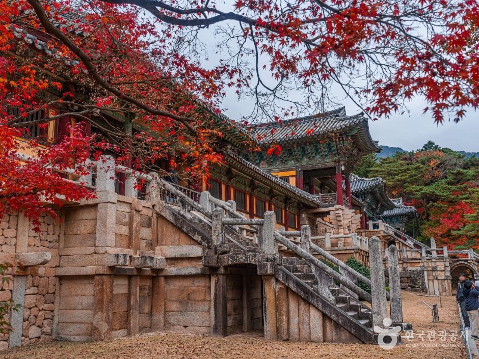 경주 불국사 [유네스코 세계유산] 여행 추천 - 메고지고