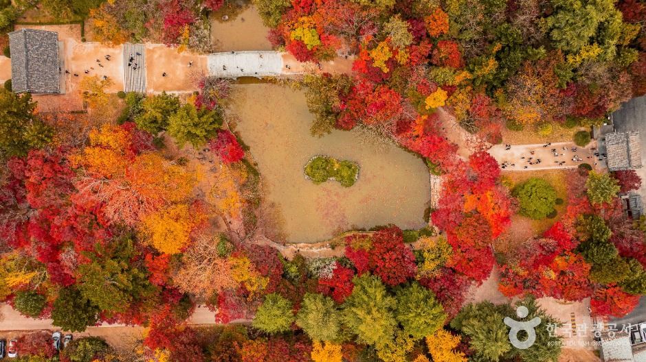 경주 불국사 [유네스코 세계유산] 여행 추천 - 메고지고