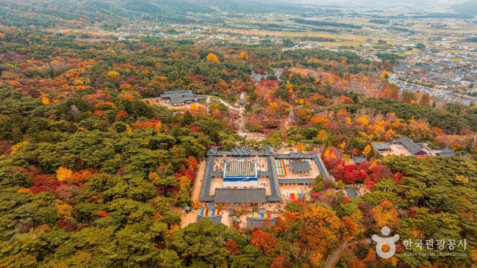경주 불국사 [유네스코 세계유산] 여행 추천 - 메고지고
