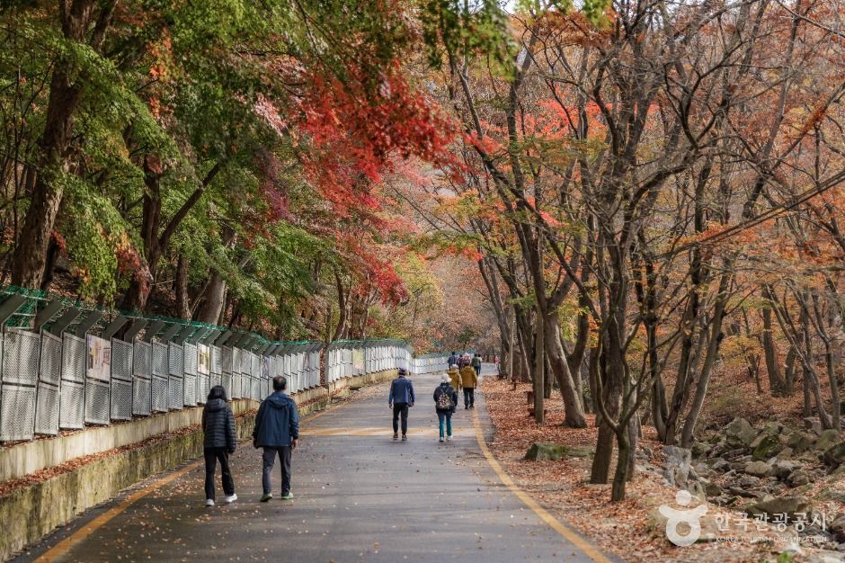 소요산국민관광지 여행 추천 - 메고지고 소요산국민관광지 여행 추천 - 메고지고