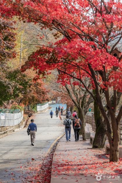 소요산국민관광지 여행 추천 - 메고지고 소요산국민관광지 여행 추천 - 메고지고