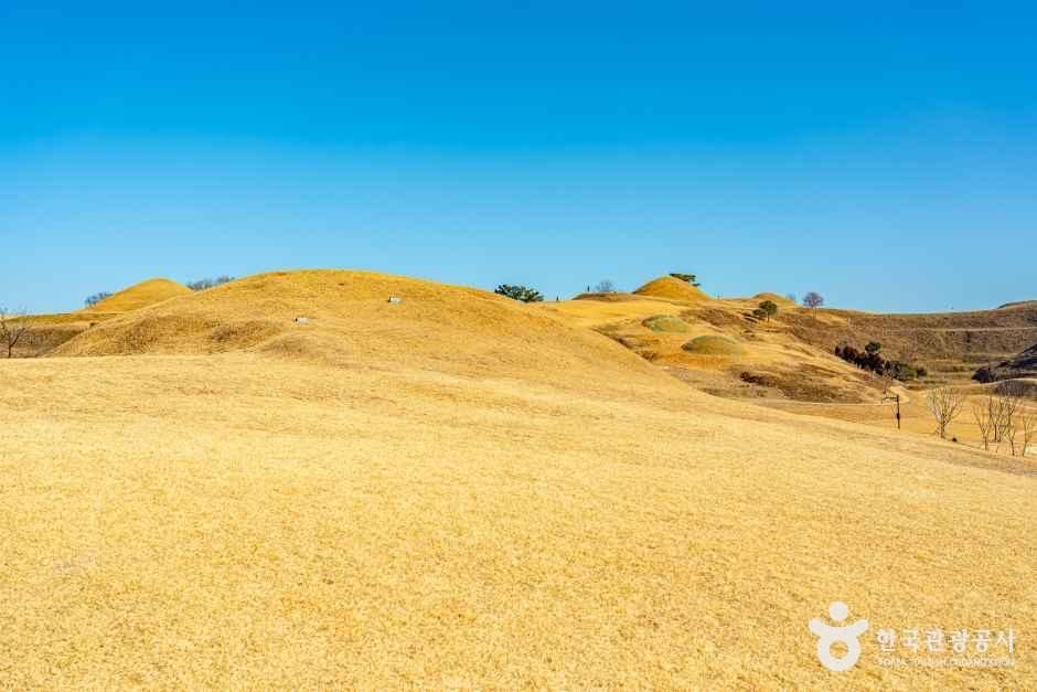 함안 말이산 고분군 여행 추천 - 메고지고 함안 말이산 고분군 여행 추천 - 메고지고