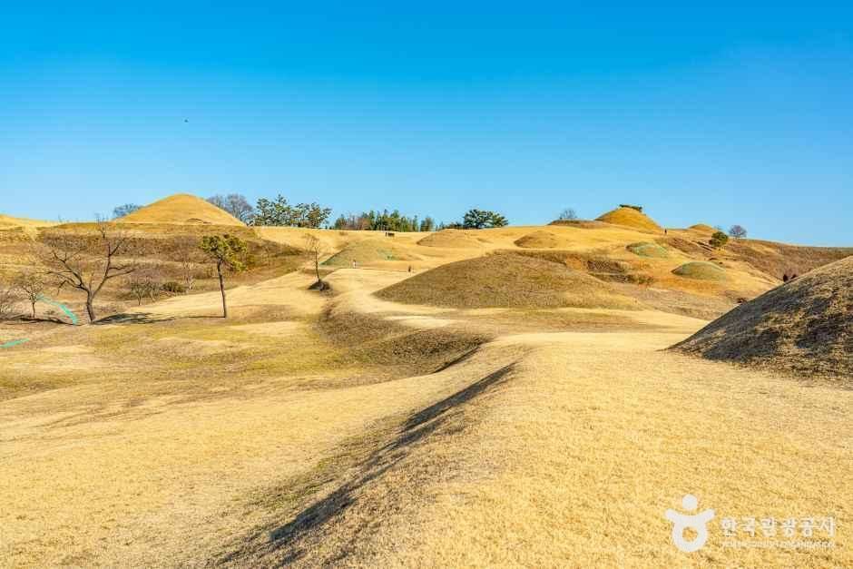 함안 말이산 고분군 여행 추천 - 메고지고 함안 말이산 고분군 여행 추천 - 메고지고