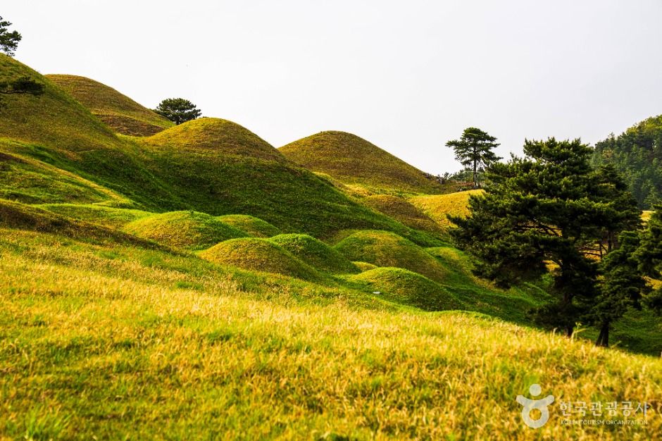 고령 지산동 고분군 여행 추천 - 메고지고 고령 지산동 고분군 여행 추천 - 메고지고