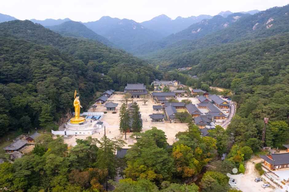 보은 법주사 [유네스코 세계유산] 여행 추천 - 메고지고