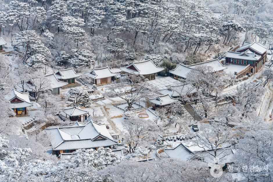 강화 전등사 여행 추천 - 메고지고 강화 전등사 여행 추천 - 메고지고