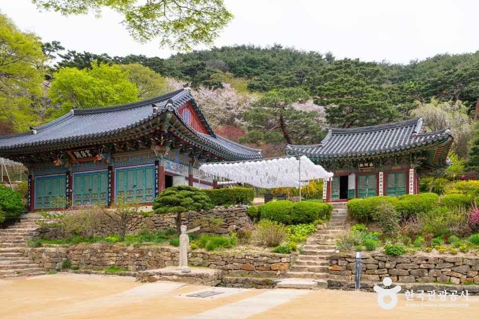 강화 전등사 여행 추천 - 메고지고 강화 전등사 여행 추천 - 메고지고