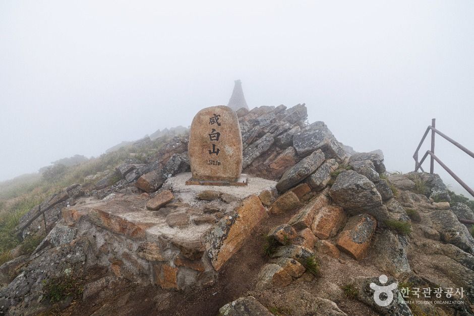 함백산 여행 추천 - 메고지고 함백산 여행 추천 - 메고지고
