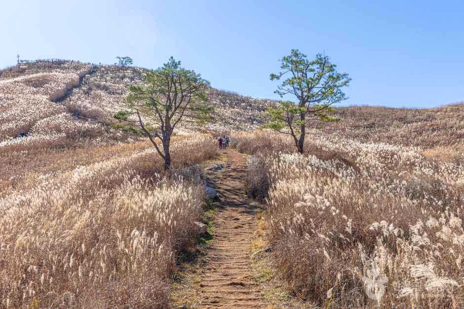 민둥산 여행 추천 - 메고지고