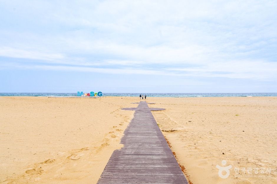 망상해변 여행 추천 - 메고지고 망상해변 여행 추천 - 메고지고