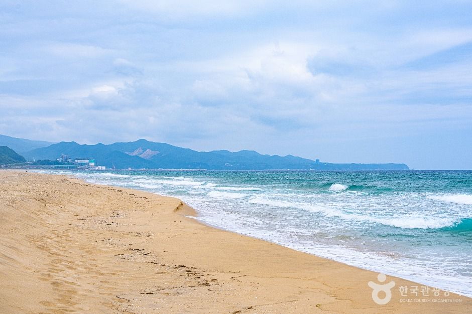 망상해변 여행 추천 - 메고지고 망상해변 여행 추천 - 메고지고