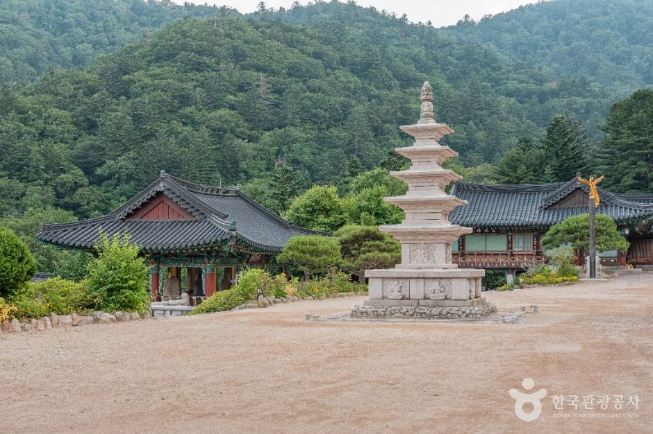 상원사(오대산) 여행 추천 - 메고지고 상원사(오대산) 여행 추천 - 메고지고