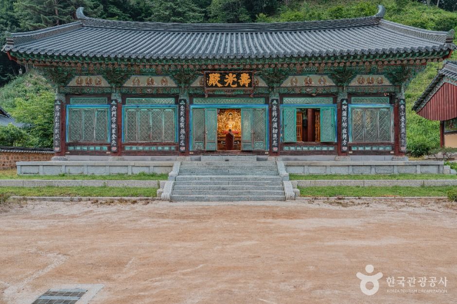 월정사·월정사 전나무숲 여행 추천 - 메고지고