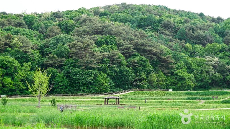 청주 상당산성 여행 추천 - 메고지고