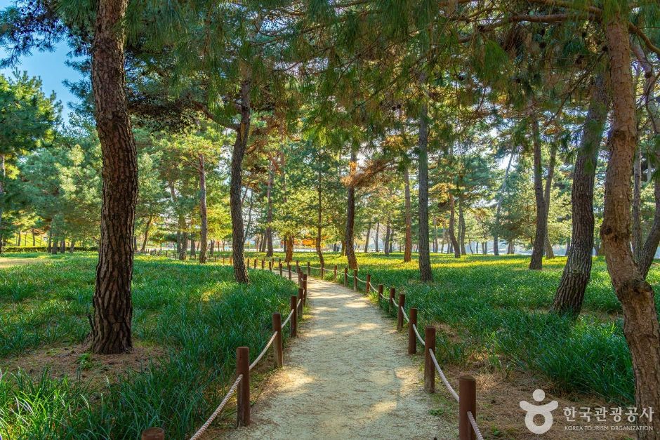 하동송림공원 여행 추천 - 메고지고 하동송림공원 여행 추천 - 메고지고