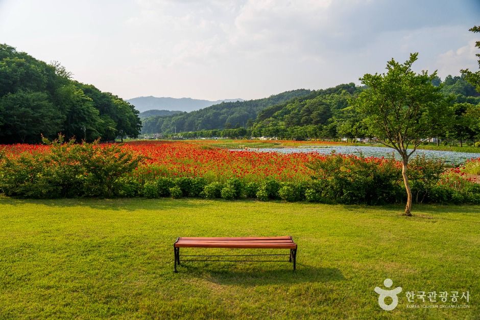 상림공원 여행 추천 - 메고지고 상림공원 여행 추천 - 메고지고
