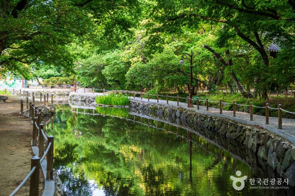 상림공원 여행 추천 - 메고지고 상림공원 여행 추천 - 메고지고