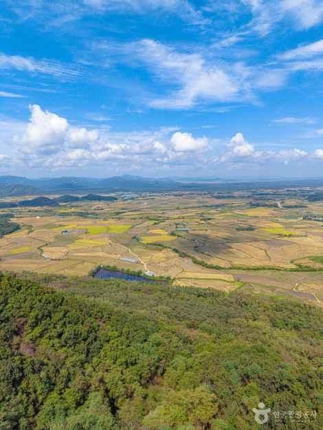 철원 철새도래지 (철원평야) 여행 추천 - 메고지고 철원 철새도래지 (철원평야) 여행 추천 - 메고지고