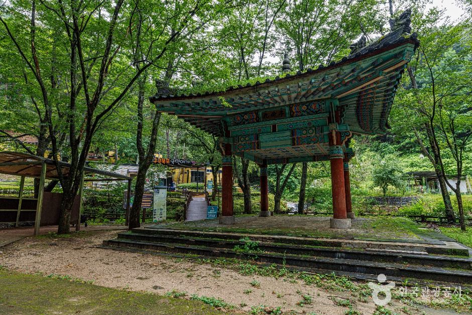 구곡폭포 여행 추천 - 메고지고 구곡폭포 여행 추천 - 메고지고