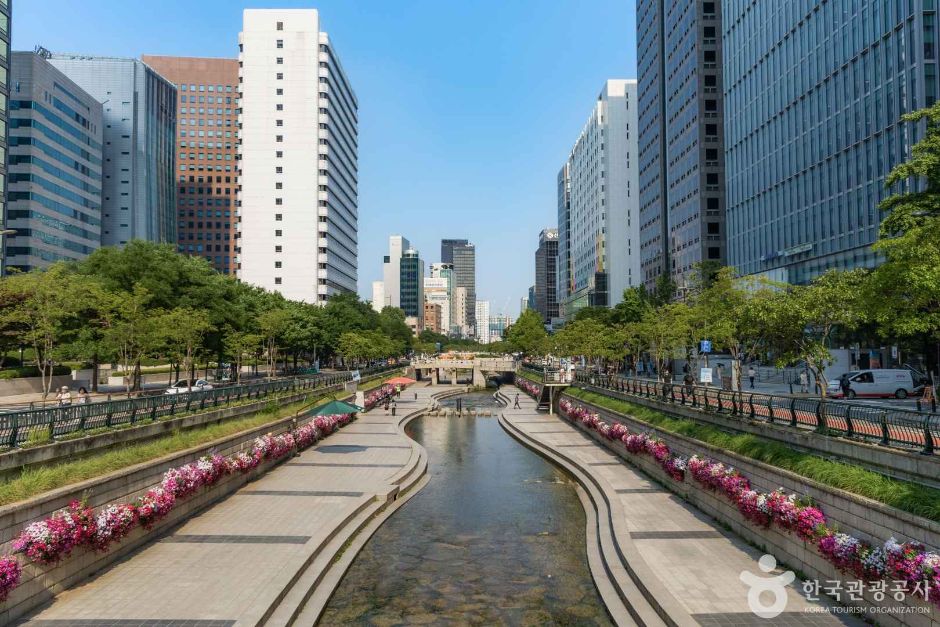 청계천 여행 추천 - 메고지고