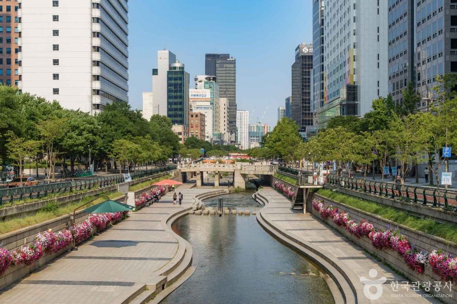 청계천 여행 추천 - 메고지고