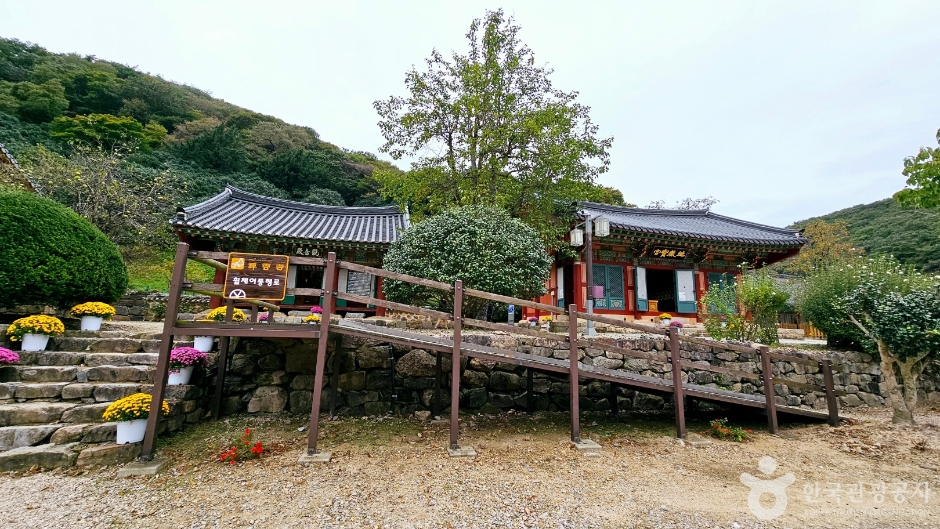 선운사(고창) 여행 추천 - 메고지고 선운사(고창) 여행 추천 - 메고지고