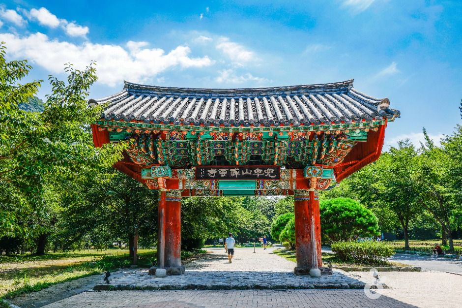 선운사(고창) 여행 추천 - 메고지고 선운사(고창) 여행 추천 - 메고지고