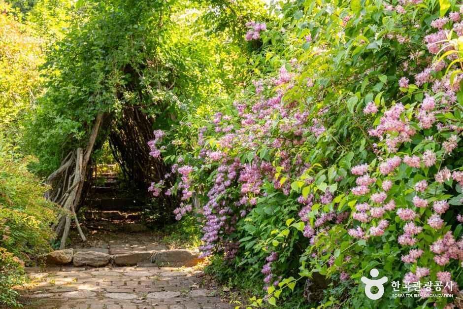 팜카밀레 여행 추천 - 메고지고 팜카밀레 여행 추천 - 메고지고