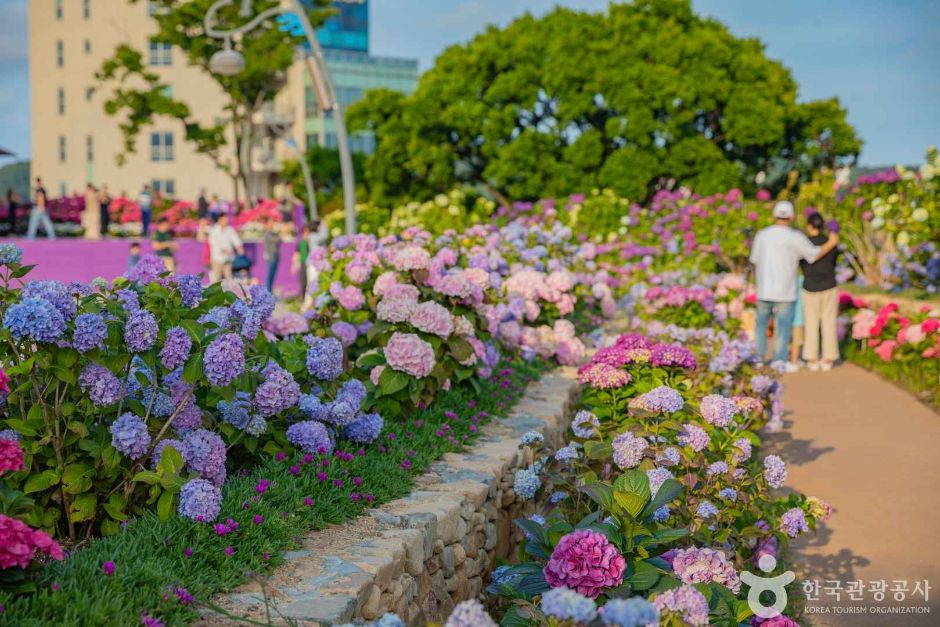 장생포 고래문화마을 여행 추천 - 메고지고 장생포 고래문화마을 여행 추천 - 메고지고