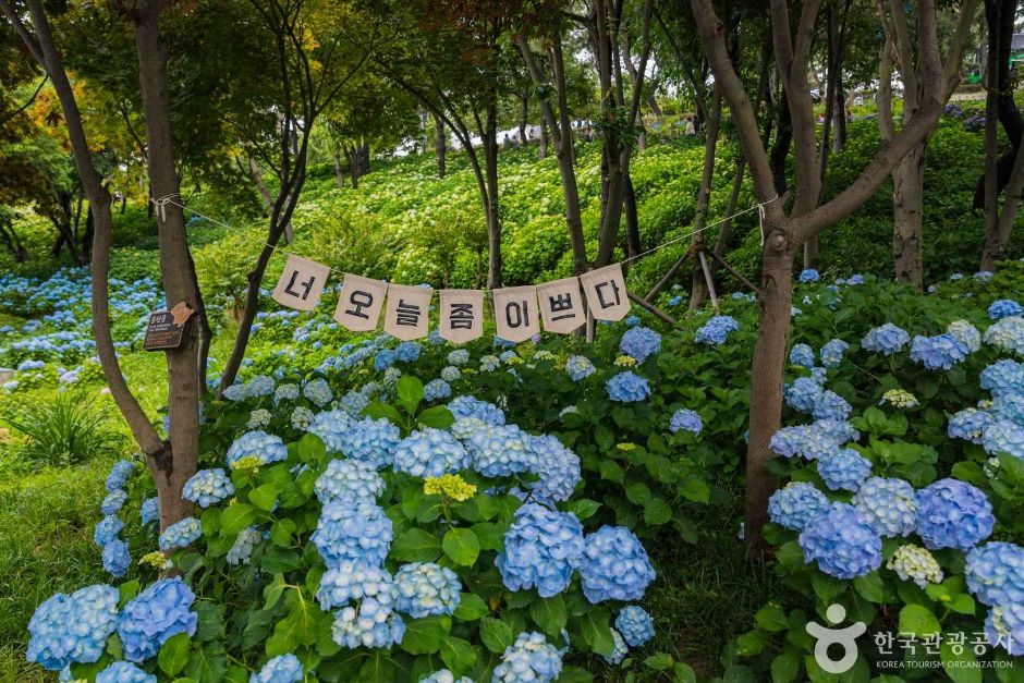 장생포 고래문화마을 여행 추천 - 메고지고 장생포 고래문화마을 여행 추천 - 메고지고
