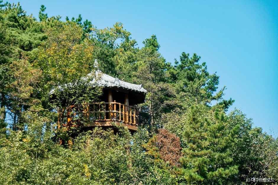 옥연지 송해공원 여행 추천 - 메고지고 옥연지 송해공원 여행 추천 - 메고지고