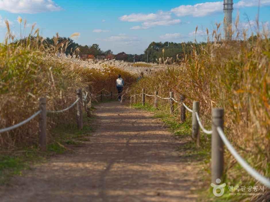 하늘공원 여행 추천 - 메고지고 하늘공원 여행 추천 - 메고지고