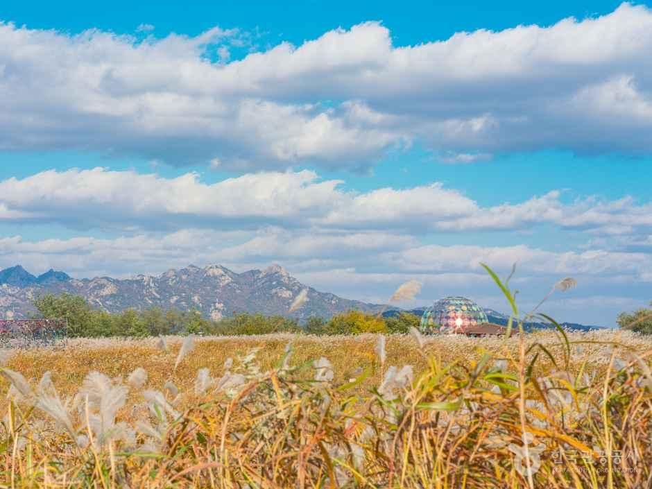 하늘공원 여행 추천 - 메고지고 하늘공원 여행 추천 - 메고지고