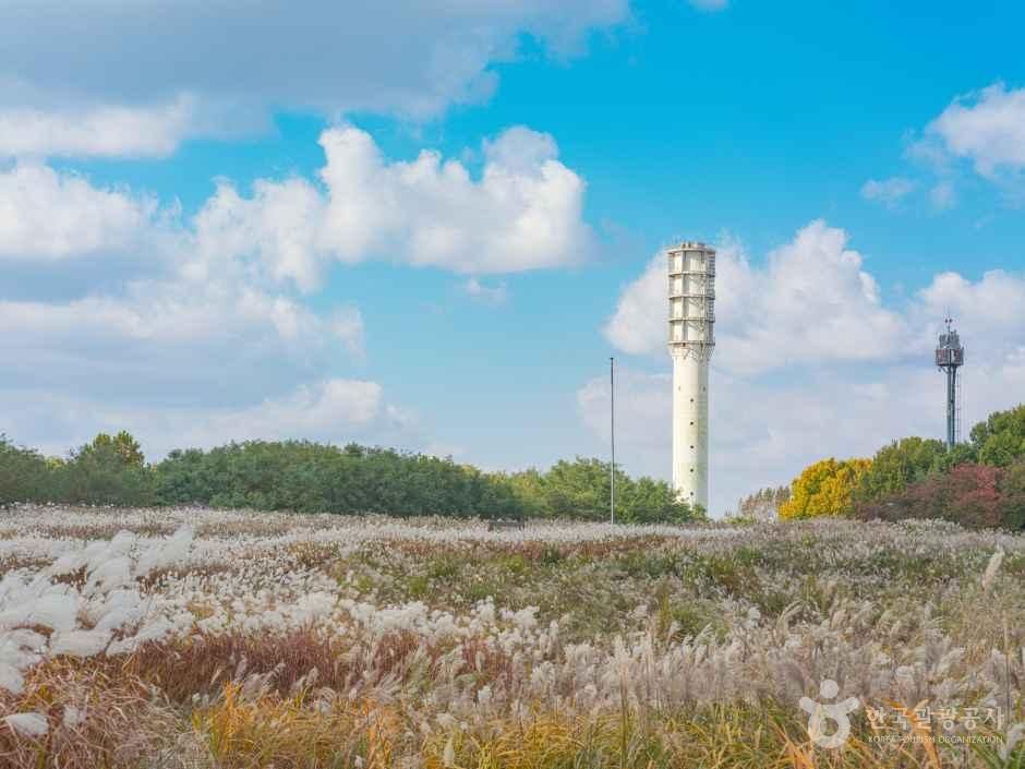 하늘공원 여행 추천 - 메고지고 하늘공원 여행 추천 - 메고지고