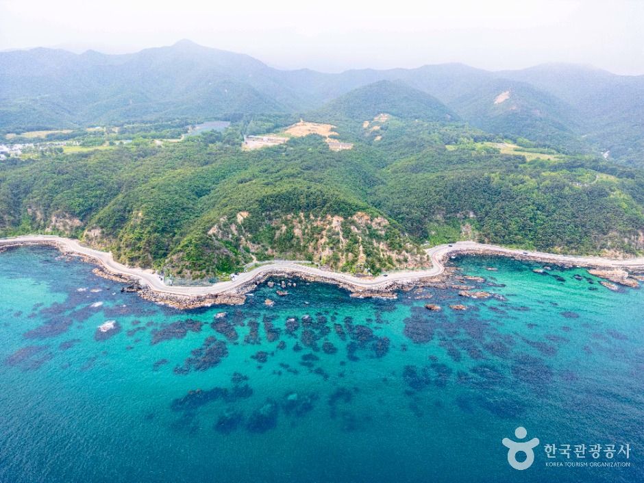 헌화로 여행 추천 - 메고지고