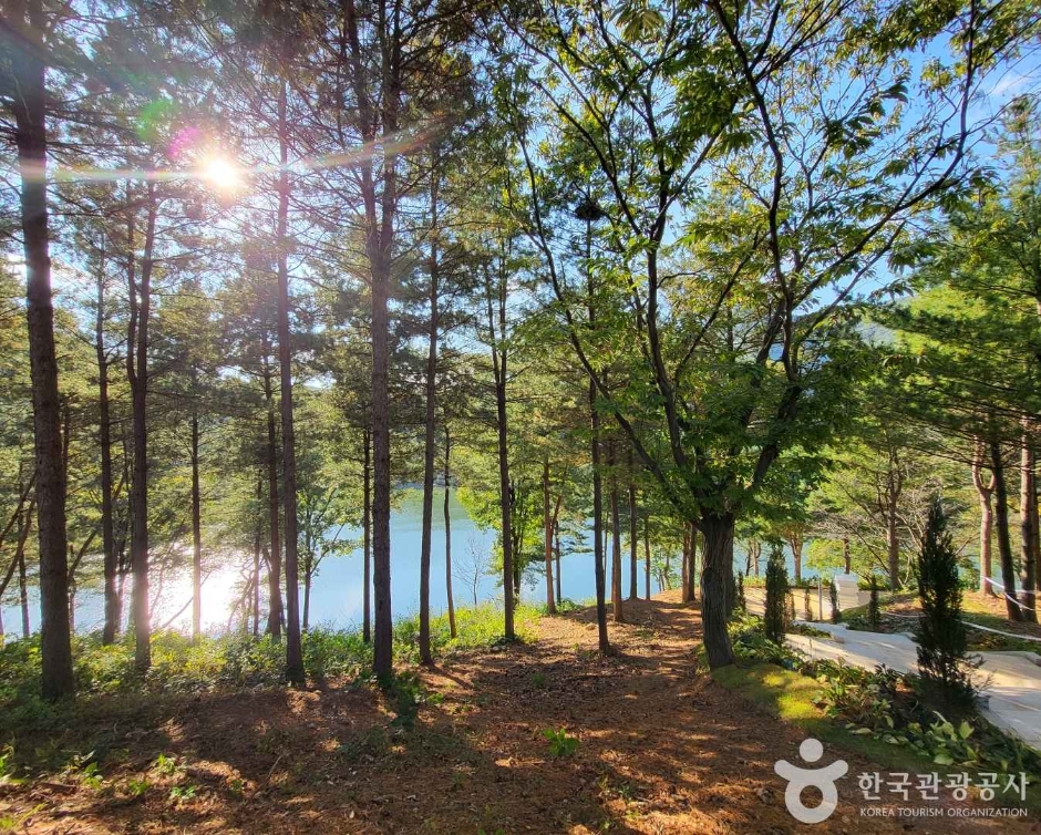 장계관광지 여행 추천 - 메고지고 장계관광지 여행 추천 - 메고지고