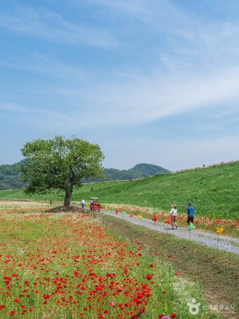 악양둑방 여행 추천 - 메고지고 악양둑방 여행 추천 - 메고지고