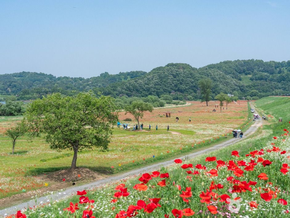 악양둑방 여행 추천 - 메고지고 악양둑방 여행 추천 - 메고지고